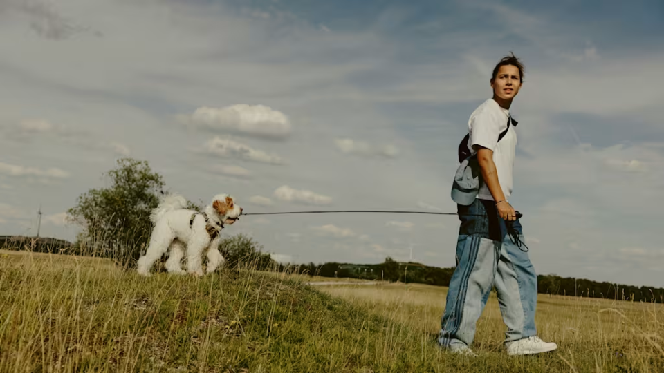 奥伯多夫在, 友们并肩作, uE