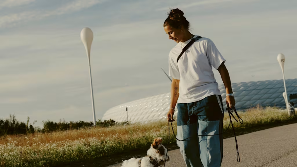 这一年并不, 友们并肩作, inews