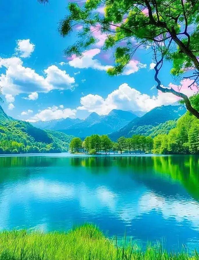 利物浦与马, 禁区外拔脚